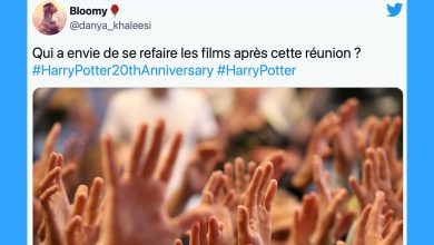 Bild von Harry Potter Return to Hogwarts: Fans reagieren auf die Sonderfolge auf TF1 (XX Tweets)