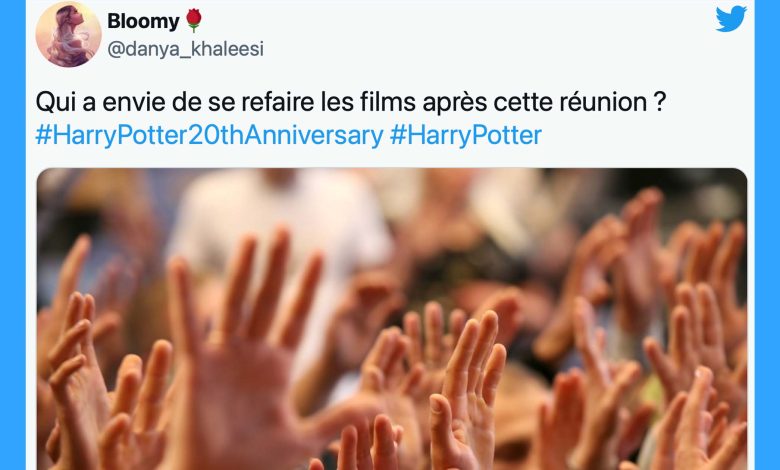 harry-potter-return-to-hogwarts:-fans-reagieren-auf-die-sonderfolge-auf-tf1-(xx-tweets)
